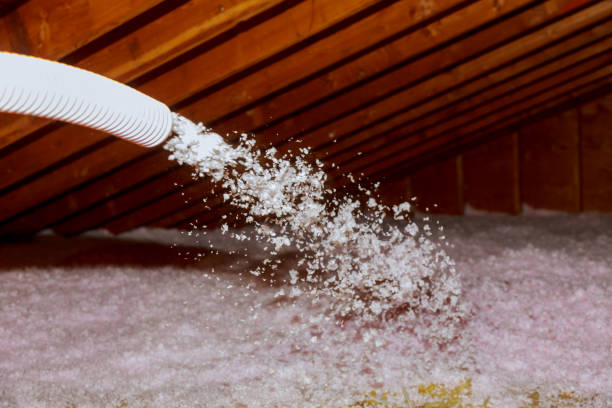 Best DIY Insulation Kits and Guidance in Baidland, PA