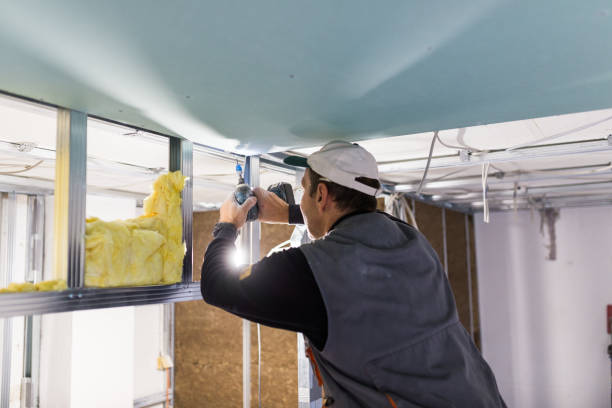 Best Energy Efficiency Insulation in Baidland, PA