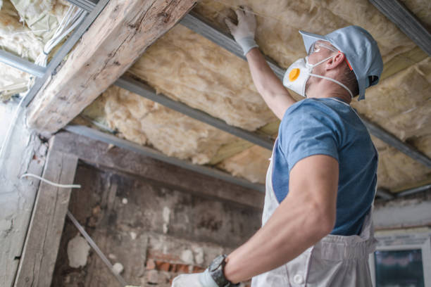 Best Insulation Maintenance and Repair in Baidland, PA