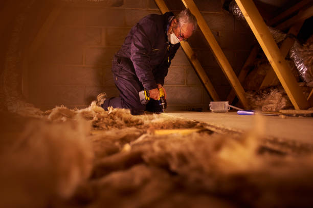 Best Geographic-Specific Insulation Services in Baidland, PA